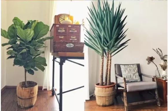 鄉(xiāng)村舊二層樓房改造，改成文藝青年小公寓