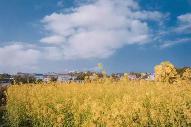 鄉(xiāng)村舊二層樓房改造，改成文藝青年小公寓