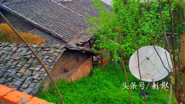 2024農(nóng)村在老宅基地上自建房有哪些新要求？