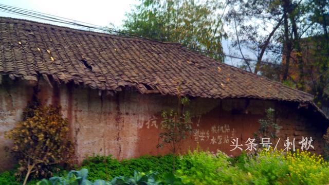 2024農(nóng)村在老宅基地上自建房有哪些新要求？