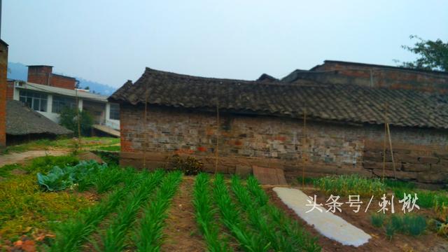 2024農(nóng)村在老宅基地上自建房有哪些新要求？