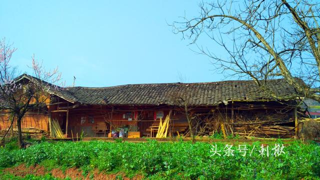 2024農(nóng)村在老宅基地上自建房有哪些新要求？