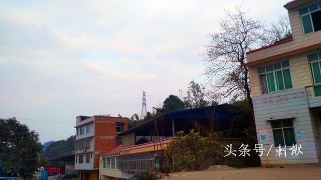 父母留下的宅基地自建房，兒女有處置的權(quán)利嗎