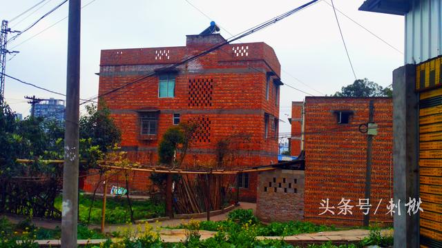 父母留下的宅基地自建房，兒女有處置的權(quán)利嗎