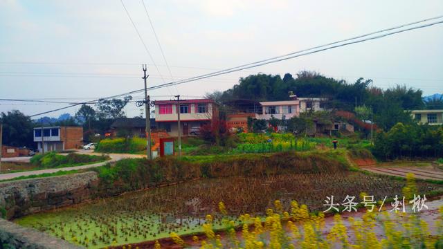 父母留下的宅基地自建房，兒女有處置的權(quán)利嗎