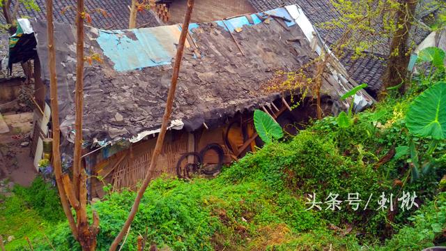 父母留下的宅基地自建房，兒女有處置的權(quán)利嗎