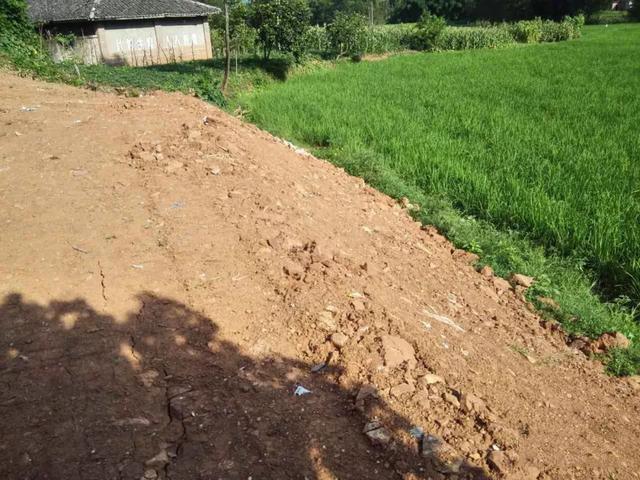 11*11米帶露臺(tái)現(xiàn)代二層農(nóng)村小洋樓設(shè)計(jì)圖，附施工過程