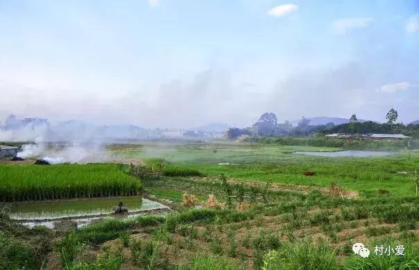 16x16m二層歐式小別墅方案圖，大落地窗+挑空客廳