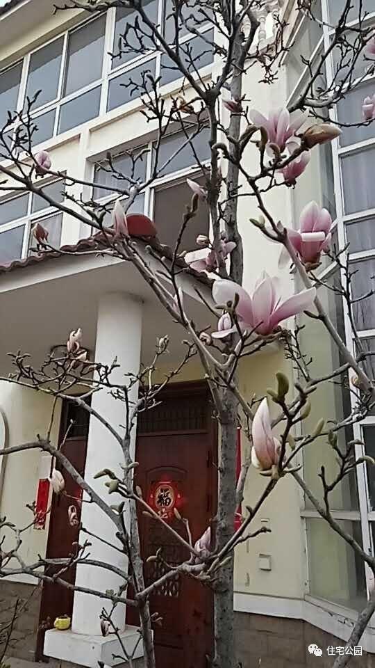 40萬(wàn)就能建的豪華別墅，全村人都會(huì)過(guò)來(lái)巴結(jié)你