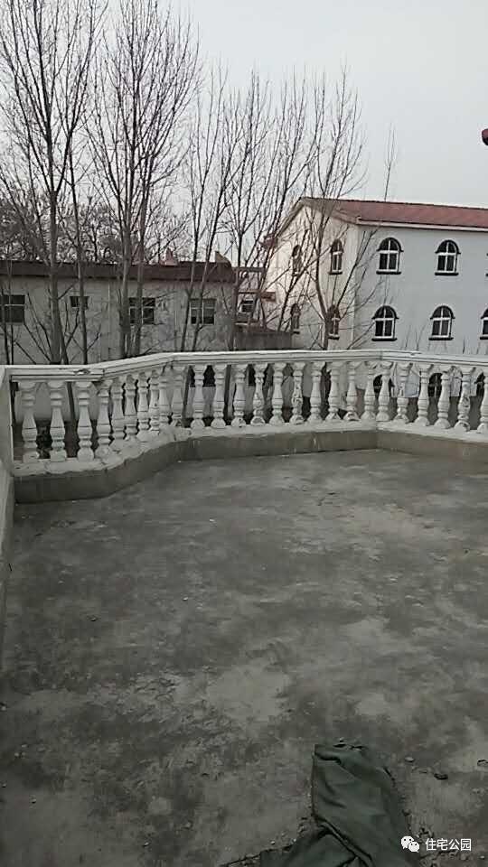 40萬(wàn)就能建的豪華別墅，全村人都會(huì)過(guò)來(lái)巴結(jié)你