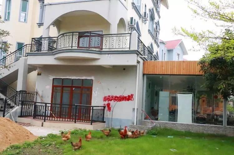 廣西北海：海泰別墅群的拆違，候鳥老人非常支持！為什么