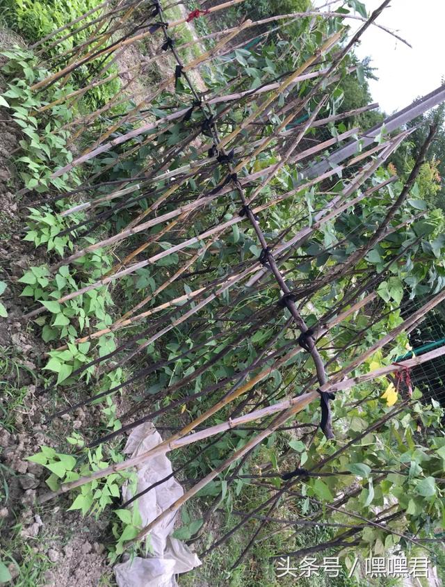 85后小伙子在外地打拼10年回農(nóng)村老家給爸媽蓋的小別墅~