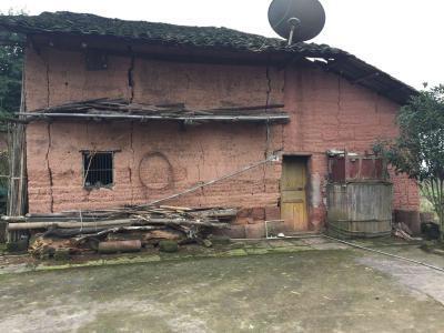 2024年農(nóng)村宅基地可以自由買賣嗎？