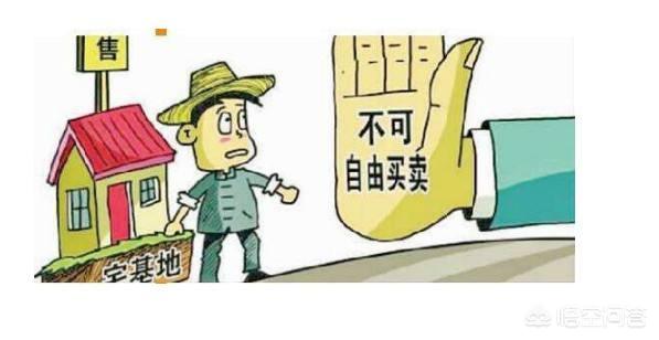 2024年農(nóng)村宅基地可以自由買賣嗎？