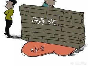 農村自建房如何申請宅基地？