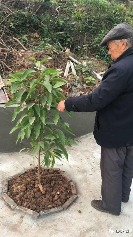 小伙農(nóng)村自建三合院全記錄，附方案圖和效果圖