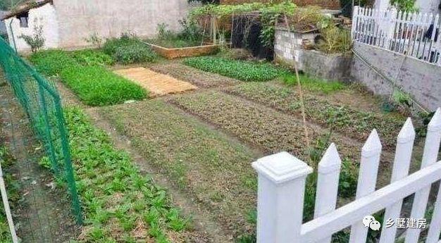 90后小夫妻逃離一線城市，回農(nóng)村自建別墅