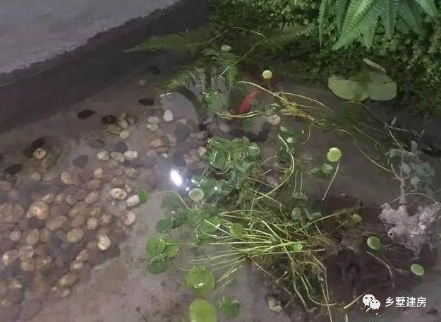 90后小夫妻逃離一線城市，回農(nóng)村自建別墅