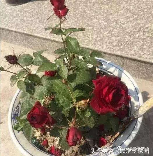 曬曬農(nóng)村自建的2層小樓，帶裝修50萬搞定，看看值嗎？