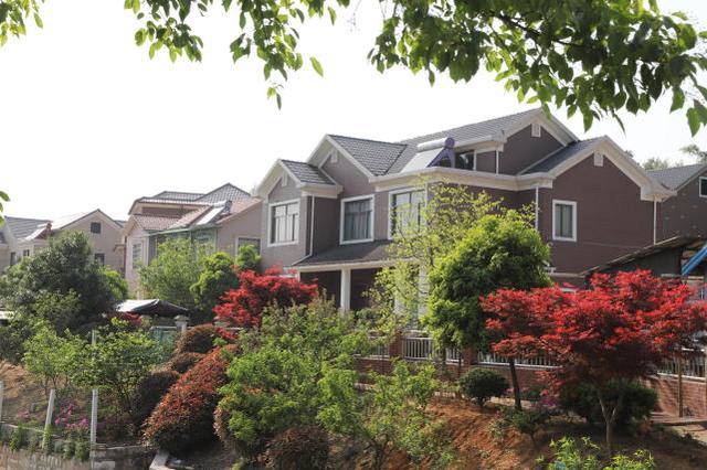 實(shí)拍浙江農(nóng)村，家家戶(hù)戶(hù)都是小別墅，令城里人羨慕