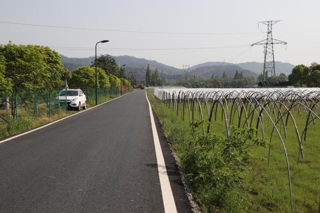 實(shí)拍浙江農(nóng)村，家家戶(hù)戶(hù)都是小別墅，令城里人羨慕