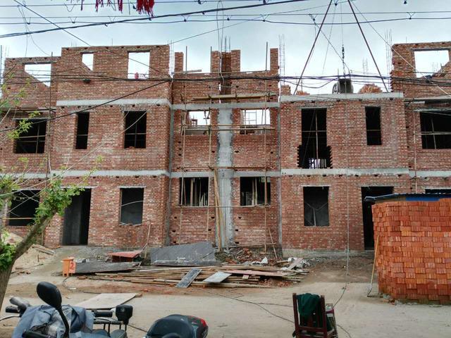 江蘇兄弟宅基地自建雙拼別墅，歐式奢華鄰居羨慕瘋！