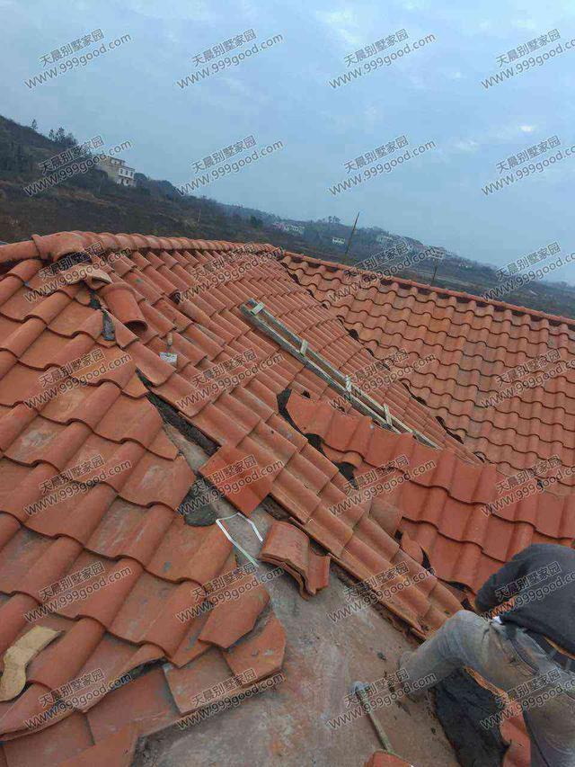 農(nóng)村別墅設(shè)計(jì)圖，車庫入戶，方正戶型12X12.4米！含建筑圖