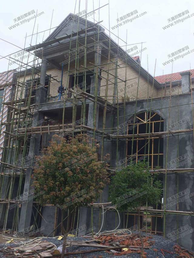 農(nóng)村別墅設(shè)計(jì)圖，車庫入戶，方正戶型12X12.4米！含建筑圖