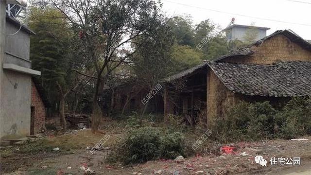 自建房帶超大庭院、泳池，看完都不想在城里買房了