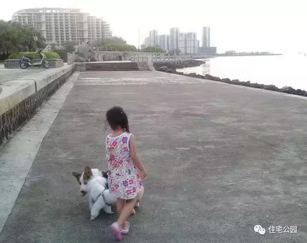 海南父子40萬聯(lián)手自建2層養(yǎng)老房，這價錢你可信？