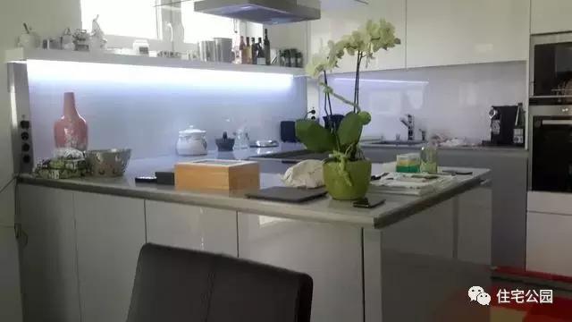 華人30萬(wàn)歐元在奧地利建起的家，果然不一般！