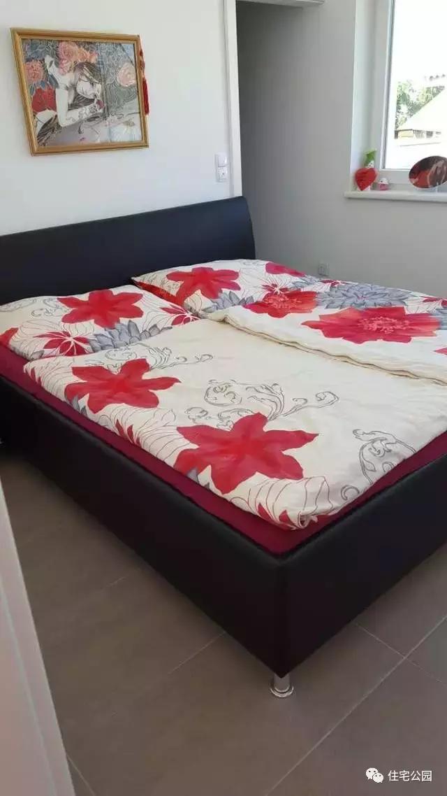 華人30萬(wàn)歐元在奧地利建起的家，果然不一般！