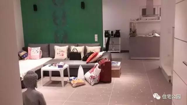 華人30萬(wàn)歐元在奧地利建起的家，果然不一般！