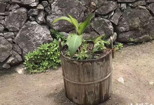 農(nóng)村這些老物件你家還有嗎，快點(diǎn)看看能派上大用場(chǎng)