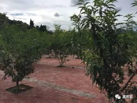 實(shí)拍網(wǎng)友自建別墅裝修實(shí)景，溫馨十足，幸福感爆棚