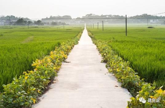 我在農(nóng)村蓋的不是房