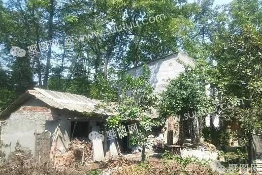 中式情懷大別墅，這樣的裝飾碉堡了！