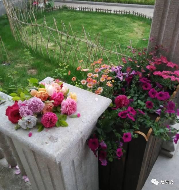 蘇州網(wǎng)友曬三層農(nóng)村別墅，帶洋氣花園很有格局