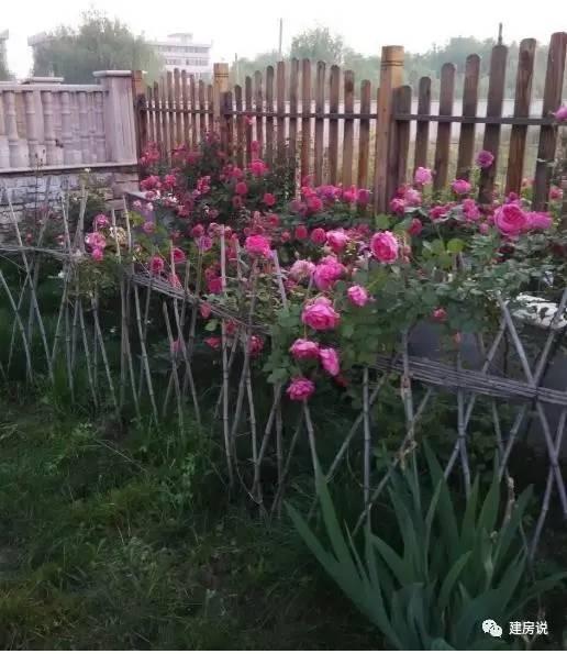 蘇州網(wǎng)友曬三層農(nóng)村別墅，帶洋氣花園很有格局