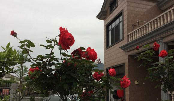 曬曬婆家?guī)臀覝蕚涞男路浚?0幾萬，閨蜜羨慕的不行