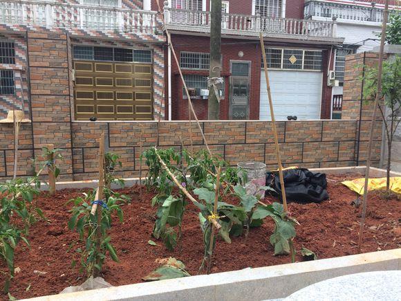 曬曬婆家?guī)臀覝蕚涞男路浚?0幾萬，閨蜜羨慕的不行