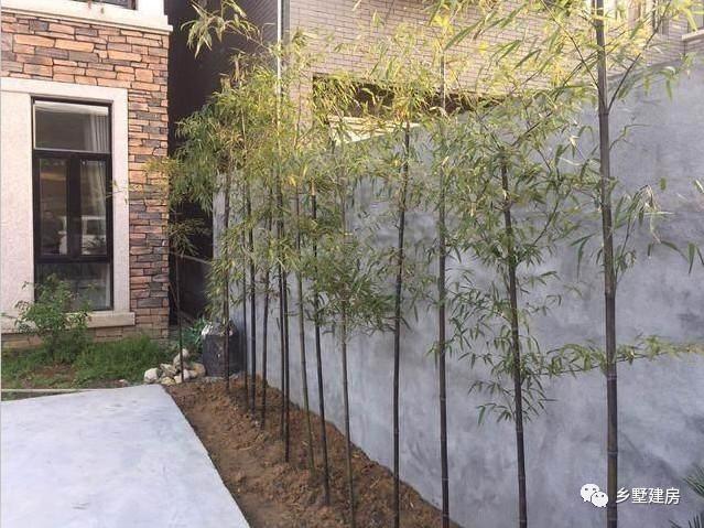 帶亭子的二層農(nóng)村自建房，附完工照和室內(nèi)裝修圖