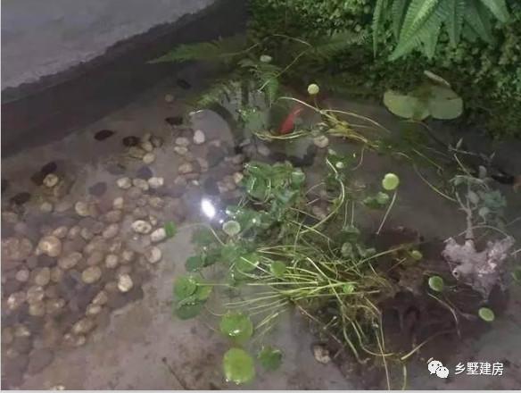 帶亭子的二層農(nóng)村自建房，附完工照和室內(nèi)裝修圖