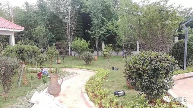 去舅舅剛建好的農(nóng)村別墅玩，有個(gè)超大庭院都不舍得回自己家了