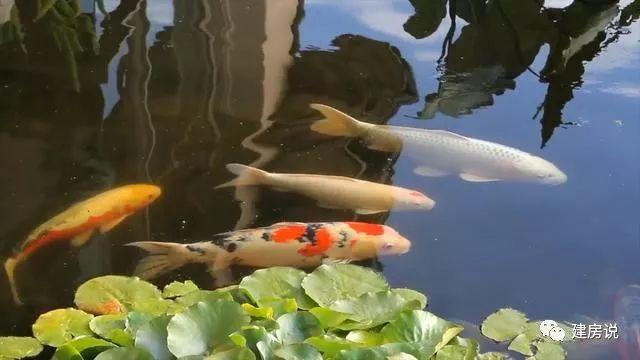 看完這棟自建別墅才知道什么叫有品味，什么叫會享受生活