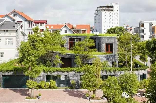 別墅 | 自建房別墅做成這樣也是絕了，滿眼的綠色！