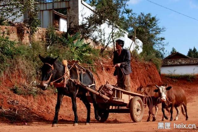 他為90后農(nóng)民蓋別墅，看房還可以用VR