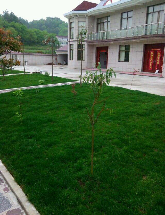 曬曬公公花100多萬的農(nóng)村小別墅，最喜歡院子里的草坪和大魚池！