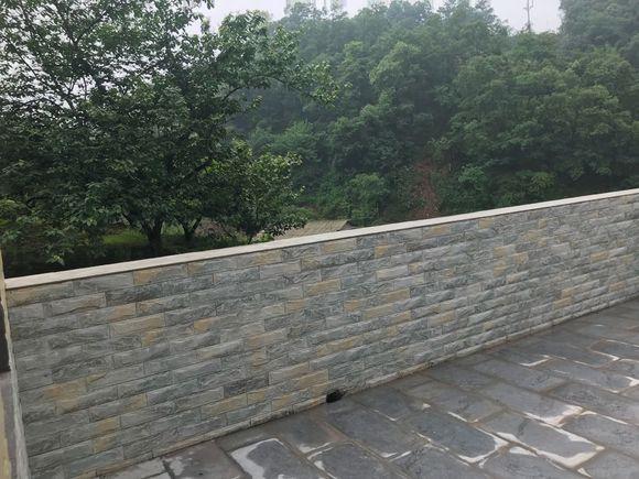 曬曬剛蓋好鄉(xiāng)村小別墅，找老婆就靠它了