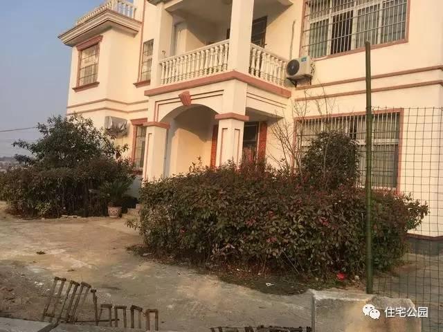 父子二人攜手設計圖紙，60萬建舒適別墅！